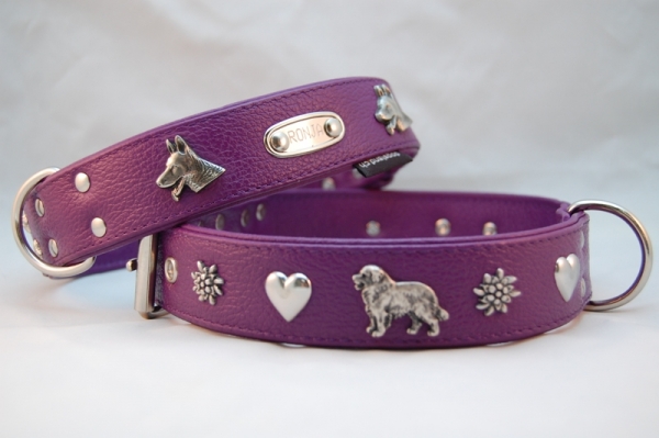 Lederhalsband Bernhadiner mit Namenstäfeli