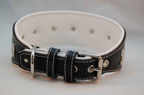 Appenzeller Lederhalsband für Windhunde