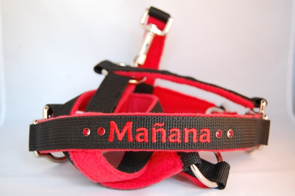 Pferde-Halfter mit Wunschbestickung und Swarovski