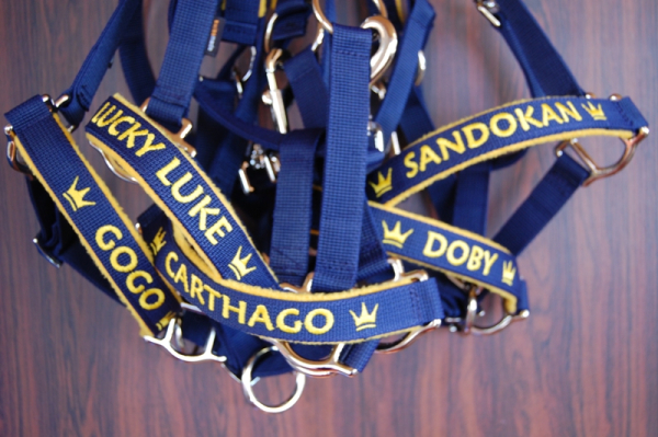 Pferde-Halfter gepolstert mit Wunschbestickung