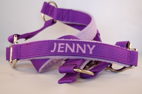 Pferde-Halfter gepolstert mit Wunschbestickung