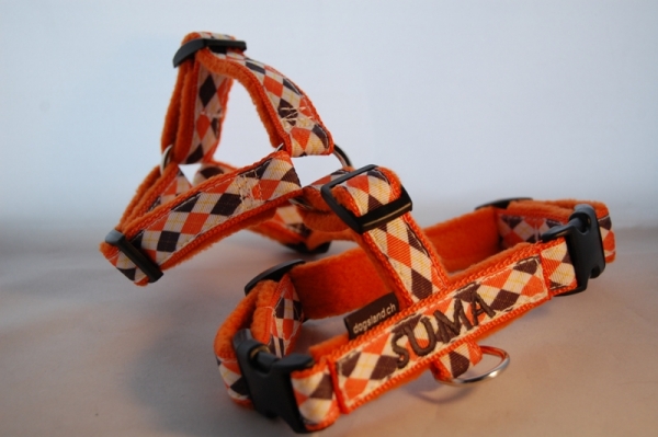 Welpen-Geschirr mit Wunschbestickung