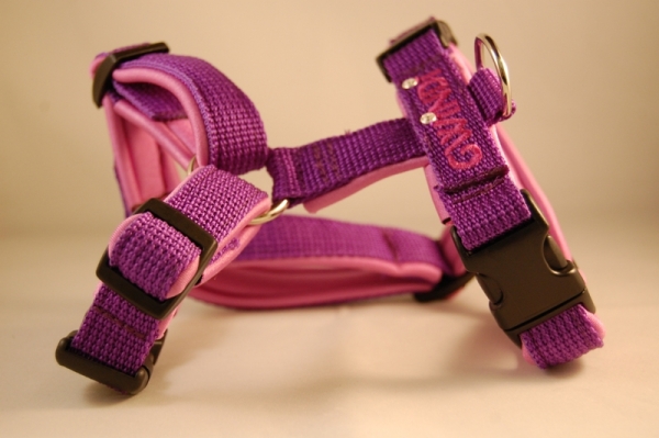 Welpen-Geschirr mit Wunschbestickung