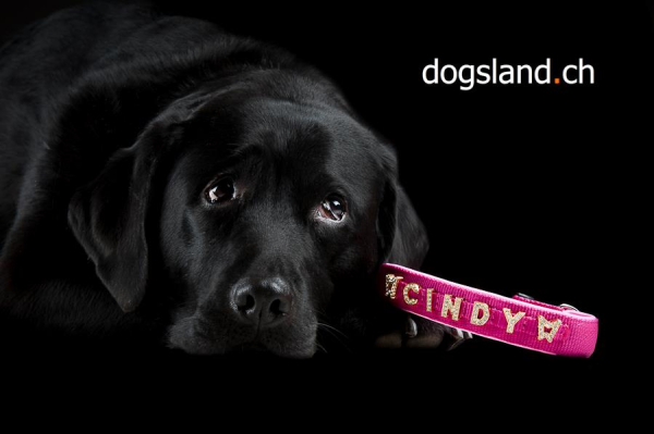 Halsband mit Strassbuchstaben