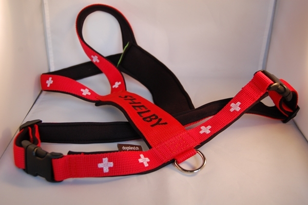 Touren-Geschirr mit Wunschbestickung