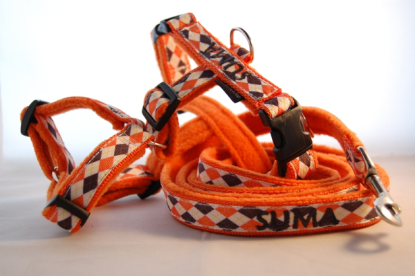 Welpen-Geschirr mit Designband